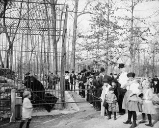 De berenkuilen, Memphis, Tennessee, ca. 1900-20